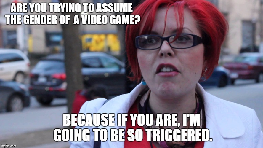 ARE YOU TRYING TO ASSUME THE GENDER OF  A VIDEO GAME? BECAUSE IF YOU ARE, I'M GOING TO BE SO TRIGGERED. | made w/ Imgflip meme maker
