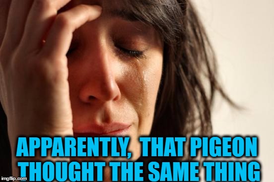 First World Problems Meme | APPARENTLY,  THAT PIGEON THOUGHT THE SAME THING | image tagged in memes,first world problems | made w/ Imgflip meme maker
