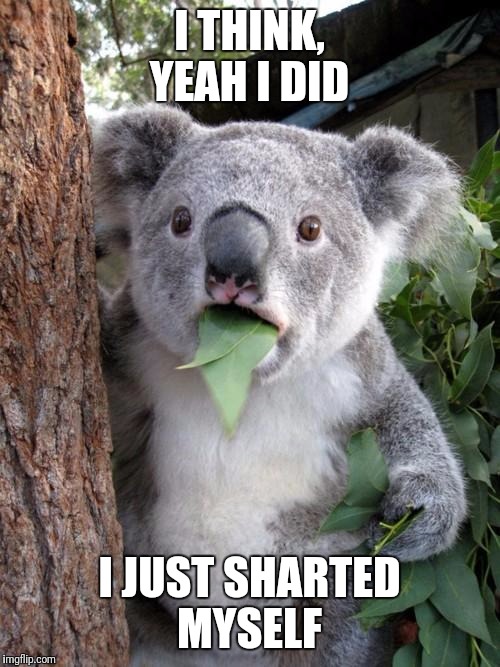 Surprised Koala Meme | I THINK, YEAH I DID; I JUST SHARTED MYSELF | image tagged in memes,surprised koala | made w/ Imgflip meme maker