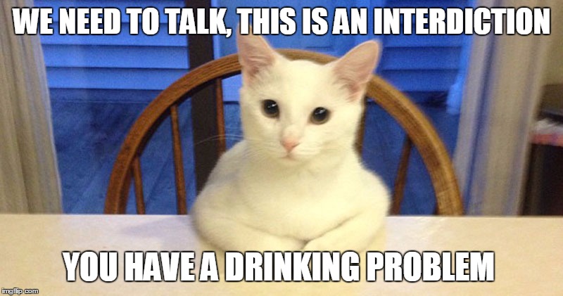 WE NEED TO TALK, THIS IS AN INTERDICTION YOU HAVE A DRINKING PROBLEM | made w/ Imgflip meme maker
