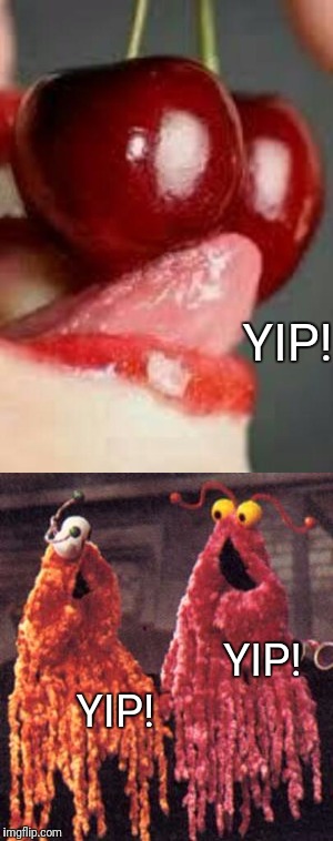 YIP! YIP! YIP! | image tagged in memes,martians | made w/ Imgflip meme maker