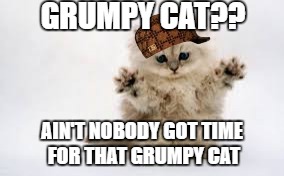 Ain't nobody got time for grumpy cat!  | GRUMPY CAT?? AIN'T NOBODY GOT TIME FOR THAT GRUMPY CAT | image tagged in ain't nobody got time for grumpy cat,scumbag | made w/ Imgflip meme maker