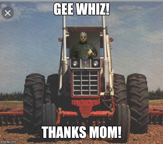 GEE WHIZ! THANKS MOM! | image tagged in jason voorhees | made w/ Imgflip meme maker