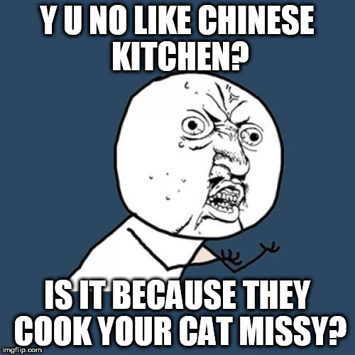 Y U No Meme | Y U NO LIKE CHINESE KITCHEN? IS IT BECAUSE THEY COOK YOUR CAT MISSY? | image tagged in memes,y u no | made w/ Imgflip meme maker