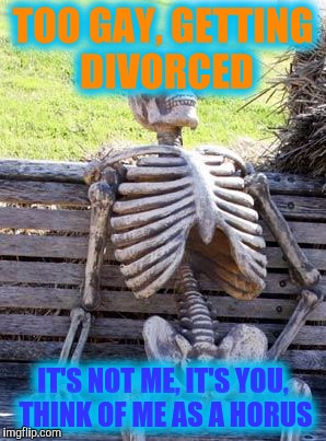 Waiting Skeleton Meme | TOO GAY, GETTING DIVORCED IT'S NOT ME, IT'S YOU, THINK OF ME AS A HORUS | image tagged in memes,waiting skeleton | made w/ Imgflip meme maker