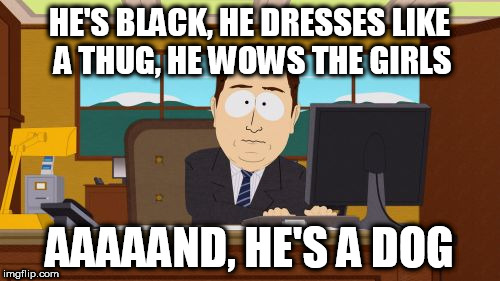 Aaaaand Its Gone Meme | HE'S BLACK, HE DRESSES LIKE A THUG, HE WOWS THE GIRLS AAAAAND, HE'S A DOG | image tagged in memes,aaaaand its gone | made w/ Imgflip meme maker