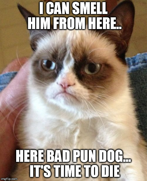 Grumpy Cat Meme | I CAN SMELL HIM FROM HERE.. HERE BAD PUN DOG... IT'S TIME TO DIE | image tagged in memes,grumpy cat | made w/ Imgflip meme maker