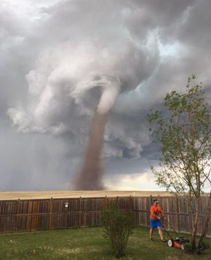 High Quality tornado ignoring guy Blank Meme Template