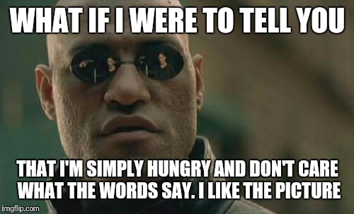 Matrix Morpheus Meme | WHAT IF I WERE TO TELL YOU THAT I'M SIMPLY HUNGRY AND DON'T CARE WHAT THE WORDS SAY. I LIKE THE PICTURE | image tagged in memes,matrix morpheus | made w/ Imgflip meme maker
