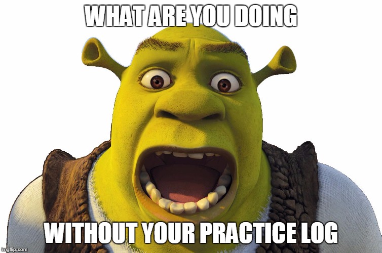 Don't shrek yourself before you wreck yourself | WHAT ARE YOU DOING; WITHOUT YOUR PRACTICE LOG | image tagged in don't shrek yourself before you wreck yourself | made w/ Imgflip meme maker