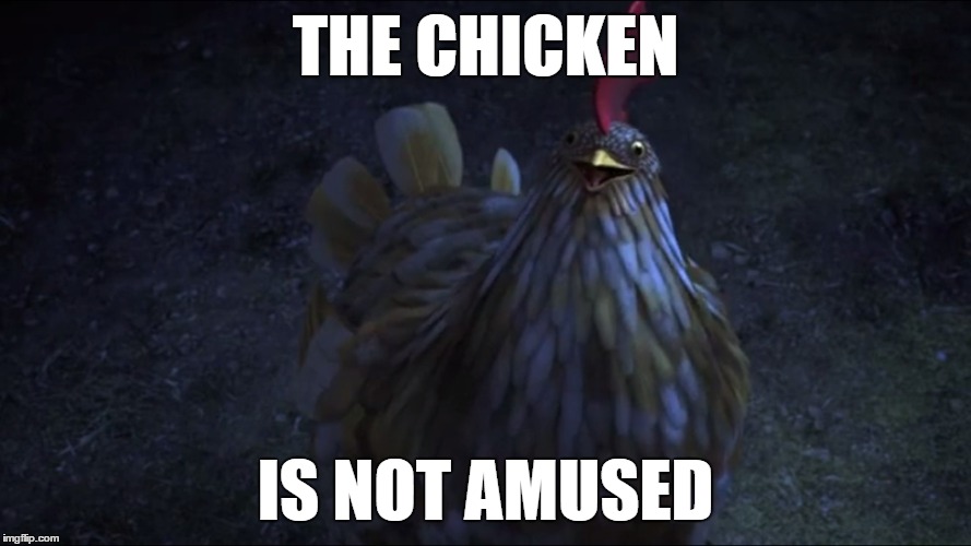 The Chicken is not amused | THE CHICKEN; IS NOT AMUSED | image tagged in chicken | made w/ Imgflip meme maker