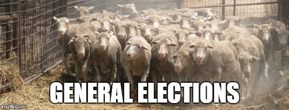GENERAL ELECTIONS | image tagged in sheep | made w/ Imgflip meme maker