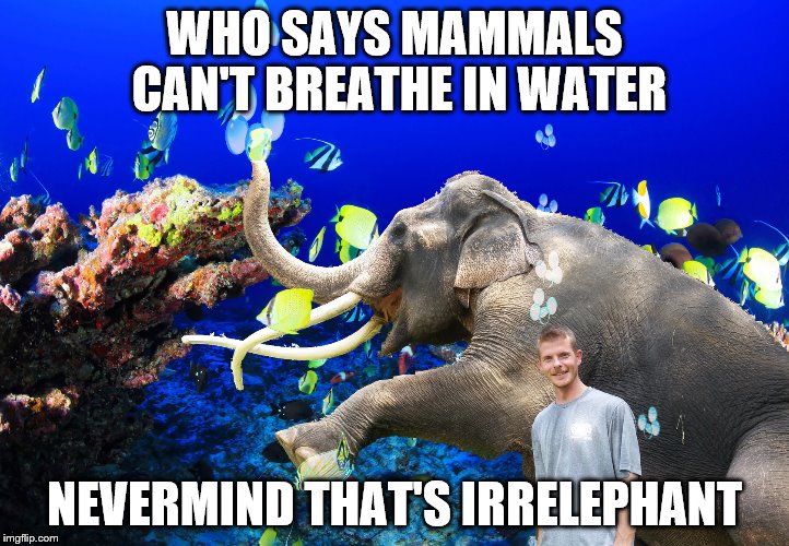 WHO SAYS MAMMALS CAN'T BREATHE IN WATER; NEVERMIND THAT'S IRRELEPHANT | made w/ Imgflip meme maker