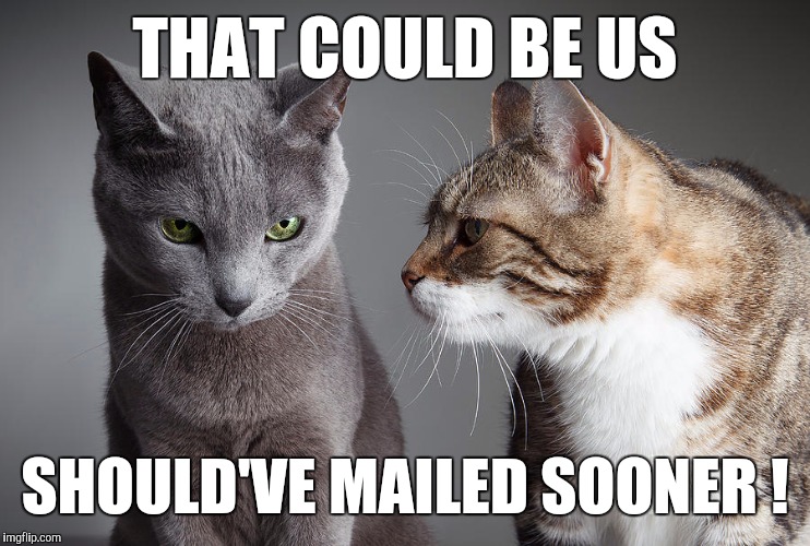 You Didn't Share ?!?! | THAT COULD BE US SHOULD'VE MAILED SOONER ! | image tagged in you didn't share | made w/ Imgflip meme maker