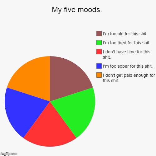 The struggle is real. | image tagged in funny,pie charts,shit happens,deal with it | made w/ Imgflip chart maker