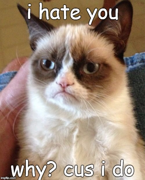 Grumpy Cat Meme | i hate you; why? cus i do | image tagged in memes,grumpy cat | made w/ Imgflip meme maker