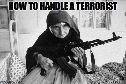 Grandma’s gonna squeeze one off | HOW TO HANDLE A TERRORIST | image tagged in grandma,rifle | made w/ Imgflip meme maker