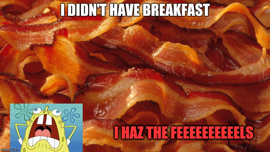 I DIDN'T HAVE BREAKFAST; I HAZ THE FEEEEEEEEEELS | image tagged in bacon | made w/ Imgflip meme maker