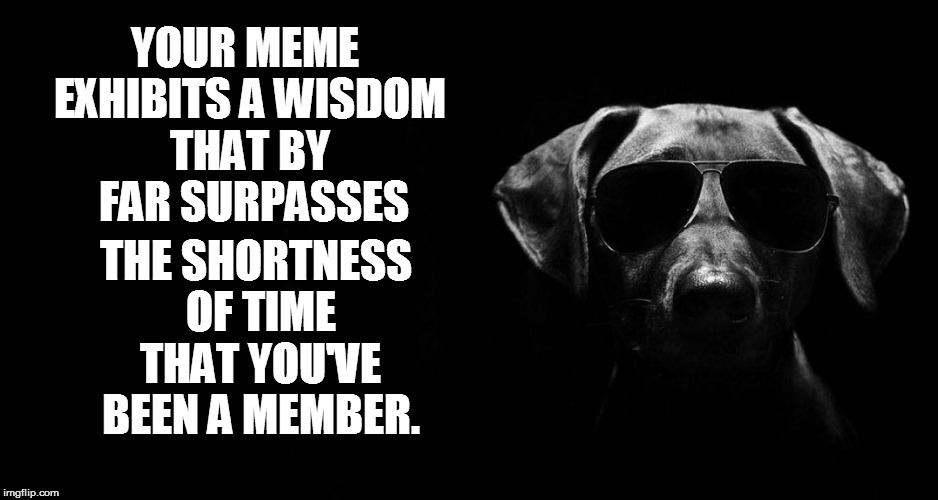 YOUR MEME EXHIBITS A WISDOM THAT BY  FAR SURPASSES THE SHORTNESS OF TIME THAT YOU'VE BEEN A MEMBER. | made w/ Imgflip meme maker