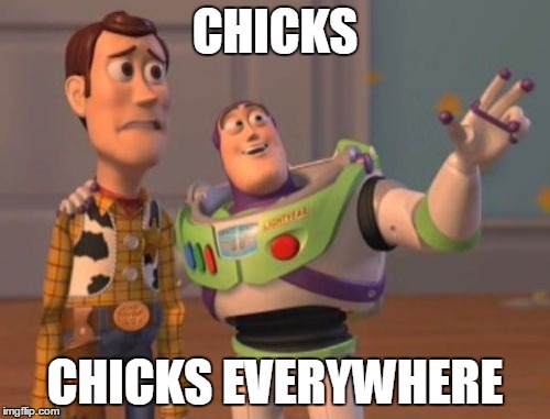 X, X Everywhere | CHICKS; CHICKS EVERYWHERE | image tagged in memes,x x everywhere | made w/ Imgflip meme maker