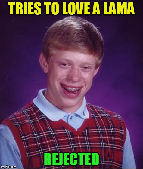 Bad Luck Brian Meme | TRIES TO LOVE A LAMA REJECTED | image tagged in memes,bad luck brian | made w/ Imgflip meme maker