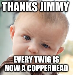 Skeptical Baby | THANKS JIMMY; EVERY TWIG IS NOW A COPPERHEAD | image tagged in memes,skeptical baby | made w/ Imgflip meme maker