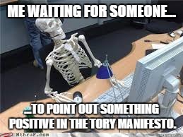 still waiting skeletonn | ME WAITING FOR SOMEONE... ...TO POINT OUT SOMETHING POSITIVE IN THE TORY MANIFESTO. | image tagged in still waiting skeletonn | made w/ Imgflip meme maker