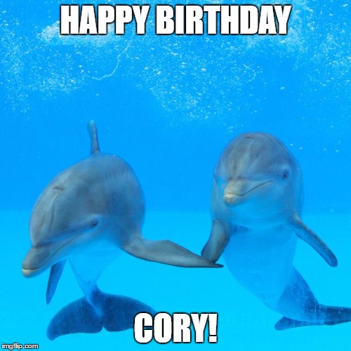 Say NO to Gay Dolphins | HAPPY BIRTHDAY; CORY! | image tagged in say no to gay dolphins | made w/ Imgflip meme maker