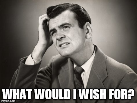 WHAT WOULD I WISH FOR? | made w/ Imgflip meme maker