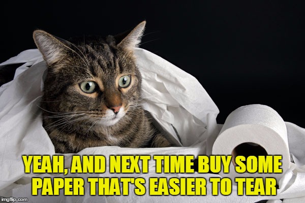YEAH, AND NEXT TIME BUY SOME PAPER THAT'S EASIER TO TEAR | made w/ Imgflip meme maker