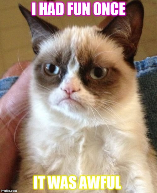 Grumpy Cat | I HAD FUN ONCE; IT WAS AWFUL | image tagged in memes,grumpy cat | made w/ Imgflip meme maker