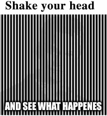 Who do u see? | AND SEE WHAT HAPPENES | image tagged in oprah you get a | made w/ Imgflip meme maker