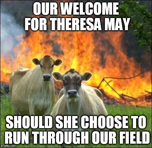 Evil Cows Meme | OUR WELCOME FOR THERESA MAY; SHOULD SHE CHOOSE TO RUN THROUGH OUR FIELD | image tagged in memes,evil cows | made w/ Imgflip meme maker
