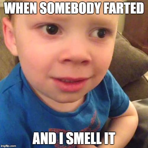 Gavin | WHEN SOMEBODY FARTED; AND I SMELL IT | image tagged in gavin | made w/ Imgflip meme maker