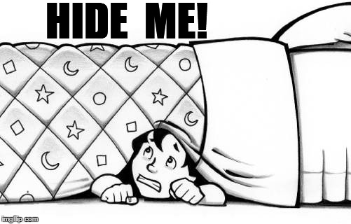hiding | HIDE  ME! | image tagged in hiding | made w/ Imgflip meme maker
