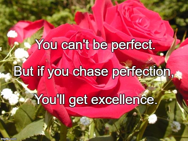 Roses | You can't be perfect. But if you chase perfection, You'll get excellence. | image tagged in roses | made w/ Imgflip meme maker