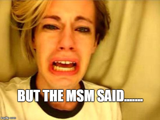 Stupidity | BUT THE MSM SAID....... | image tagged in stupidity | made w/ Imgflip meme maker