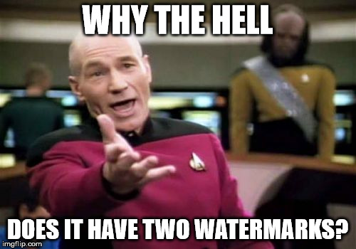 Picard Wtf Meme | WHY THE HELL DOES IT HAVE TWO WATERMARKS? | image tagged in memes,picard wtf | made w/ Imgflip meme maker