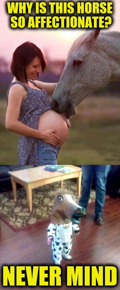 She said they were only friends... | WHY IS THIS HORSE SO AFFECTIONATE? NEVER MIND | image tagged in horse,pregnant woman,baby,funny memes | made w/ Imgflip meme maker