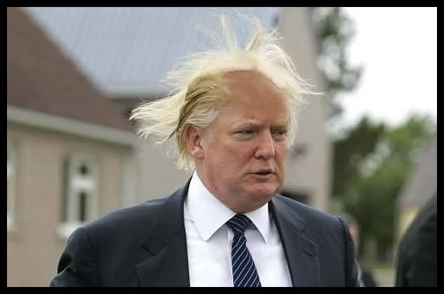 High Quality Trump Hair Blank Meme Template