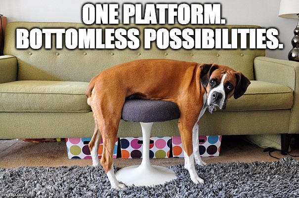 User Experience | ONE PLATFORM.






 BOTTOMLESS POSSIBILITIES. | image tagged in don't underestimate dogs,ux,ui | made w/ Imgflip meme maker
