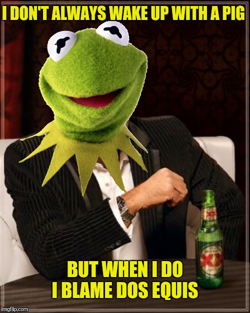 The most interesting frog in the world  | I DON'T ALWAYS WAKE UP WITH A PIG; BUT WHEN I DO I BLAME DOS EQUIS | image tagged in kermit,most interesting frog in the world,dos equis | made w/ Imgflip meme maker