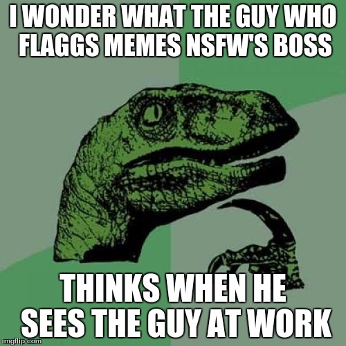Philosoraptor Meme | I WONDER WHAT THE GUY WHO FLAGGS MEMES NSFW'S BOSS; THINKS WHEN HE SEES THE GUY AT WORK | image tagged in memes,philosoraptor | made w/ Imgflip meme maker