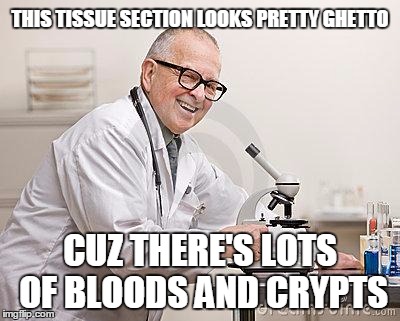 punny scientist | THIS TISSUE SECTION LOOKS PRETTY GHETTO; CUZ THERE'S LOTS OF BLOODS AND CRYPTS | image tagged in punny scientist | made w/ Imgflip meme maker
