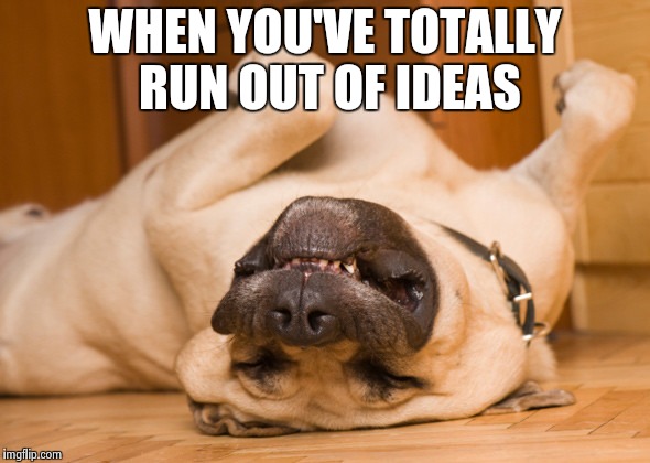 Sleeping dog | WHEN YOU'VE TOTALLY RUN OUT OF IDEAS | image tagged in sleeping dog | made w/ Imgflip meme maker