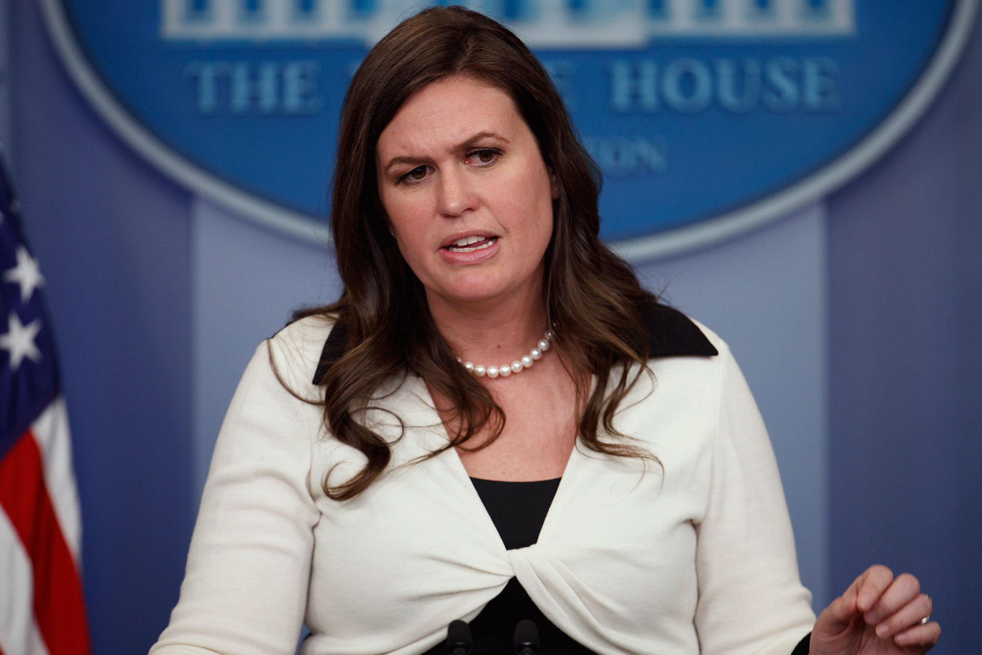 Shrek Huckabee Sanders Blank Meme Template