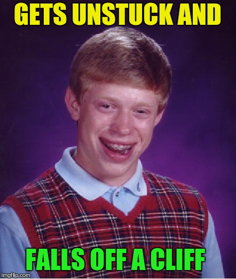 Bad Luck Brian Meme | GETS UNSTUCK AND FALLS OFF A CLIFF | image tagged in memes,bad luck brian | made w/ Imgflip meme maker
