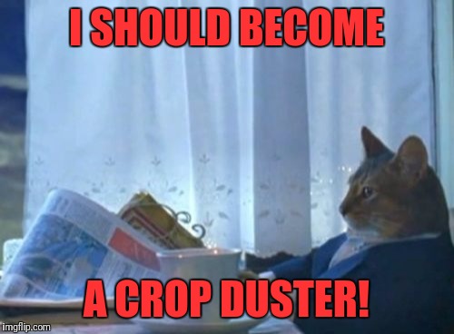What I think every time I fart while walking! | I SHOULD BECOME; A CROP DUSTER! | image tagged in memes,i should buy a boat cat,fart | made w/ Imgflip meme maker