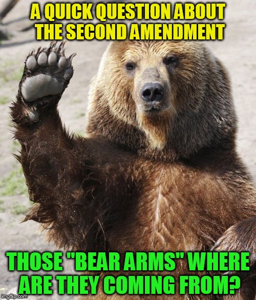 A QUICK QUESTION ABOUT THE SECOND AMENDMENT; THOSE ''BEAR ARMS'' WHERE ARE THEY COMING FROM? | made w/ Imgflip meme maker