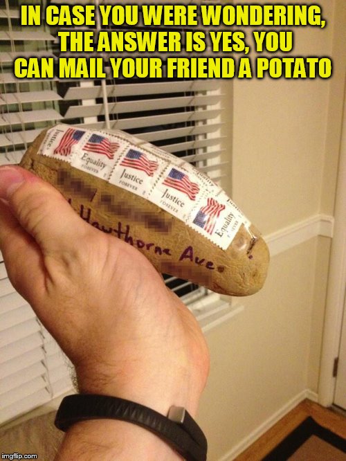 IN CASE YOU WERE WONDERING, THE ANSWER IS YES, YOU CAN MAIL YOUR FRIEND A POTATO | made w/ Imgflip meme maker